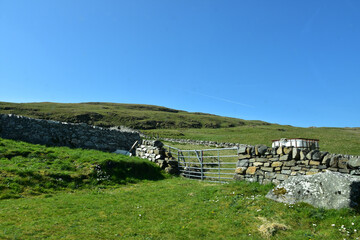 Grass Field and Hills on Rural Vatersay © dejavudesigns