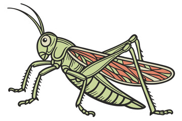 Cartoon Grasshopper Illustration a Vibrant Green Insect with Brown Accents and Detailed Wing and Leg Design on a White Background