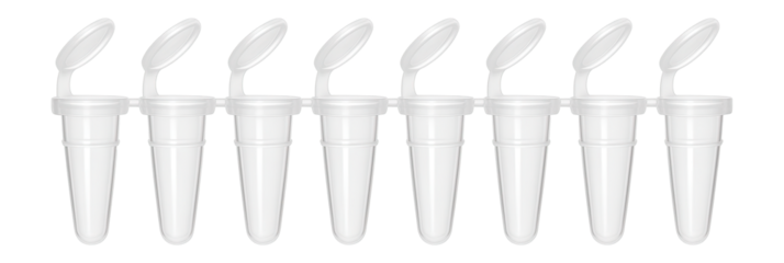 White PCR strip tube with eight connected wells and individual caps