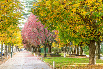 Naklejka premium Leon, Spain - November 2, 2024: Gardens, known as Paseo de la Condesa, in the center of the city of Leon, Spain
