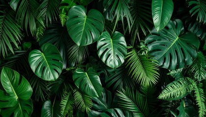 Lush tropical foliage backdrop