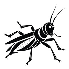 Cartoon vector art of a Grasshopper Illustration White Background