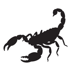 A scorpion that has the word scorpion on it Silhouette White Background.