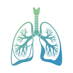 Stylized illustration of human lungs, showcasing bronchial tree detail.
