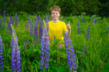 A happy boy wearing a yellow shirt is standing amidst a field of colorful lupines, smiling brightly.