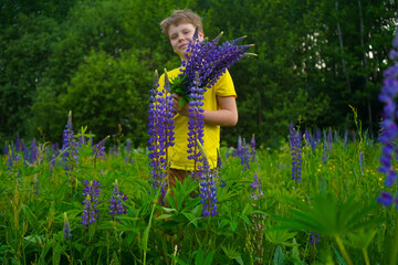 In a colorful lupine field, a happy boy in yellow stands with a big smile, embodying joy,...