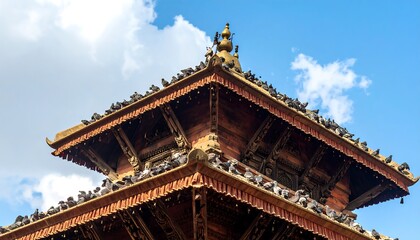 Naklejka premium Ancient temple roof teeming with birds