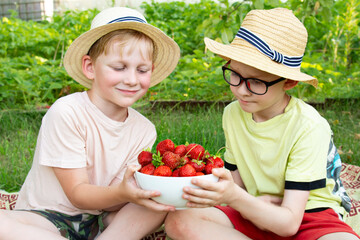 Portrait of 8-9 year old boys with strawberries. Boys eating strawberries in the garden.