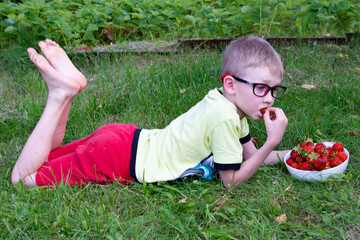 Portrait of an 8-9-year-old boy with strawberries. Boy eating strawberries in the garden