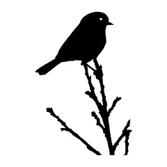 little bird hanging on branch