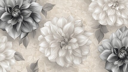 Elegant white dahlia and chrysanthemum flowers bloom in nature, with a striking close-up of a white chrysanthemum on a black background