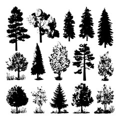 The illustration features a modern set of agricultural garden and nature park plants, including a cartoon tree, simple flat forest flora, coniferous and deciduous meadow trees, and isolated oak,