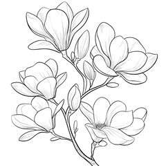 Obraz premium An isolated magnolia illustration element is formed by Modern Magnolia floral botanical flowers in elegant black and white engraved ink art