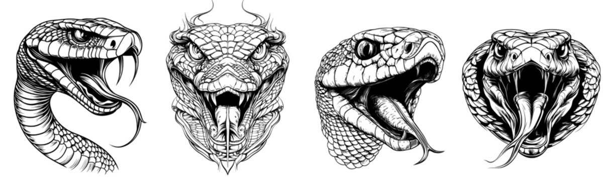 A vintage-style depiction of a cobra snake, also resembling a serpent, python, or venomous viper, presented as a hand-drawn engraved sketch suitable for tattoos, stickers, logos, or t-shirt designs