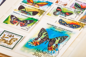 Postage stamps. Collection of stamps and magnifying glass. Collection of world stamps in a stack demonstrates the theme of flora and fauna. Postage stamps of different countries and times
