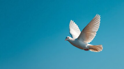 Majestic white dove soaring gracefully against a vibrant blue sky, symbolizing hope, peace, and freedom while embodying the essence of purity and inspiration in nature