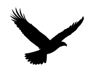Fototapeta premium The picture displays a black silhouette of an eagle flying, ideal for nature themed designs and wildlife related projects. Versatile asset.