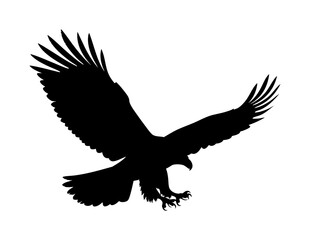 Fototapeta premium Black silhouette eagle soaring high, suitable for logos, prints, posters, outdoors themed designs, and patriotic projects needing a majestic touch.