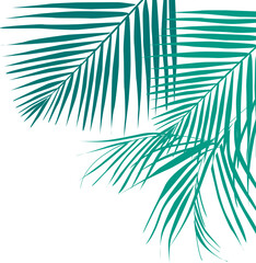 Coconut Leaves Corner 
