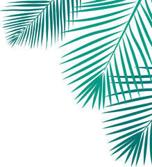 Coconut Leaves Corner 