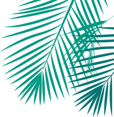 Coconut Leaves Corner 