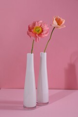 Beautiful poppy flowers in vases on pink background, closeup