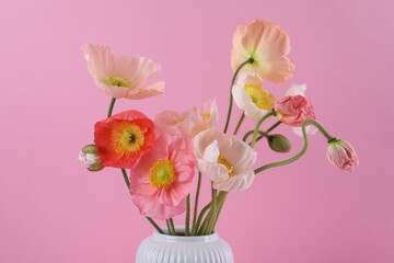 Beautiful poppy flowers in vase on pink background, closeup