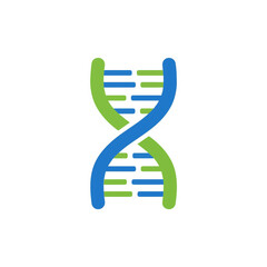 dna strand on white background