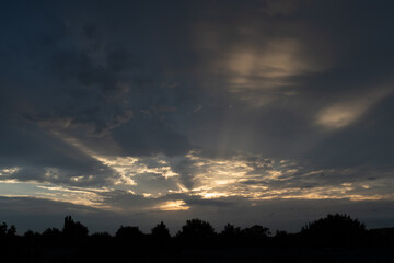 Beautiful Sunset over the Dark Forest