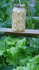 Pickled cucumbers and onions in a jar on a wooden bench in a green garden 