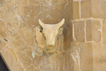 A stone bull's head sticking out of the wall
