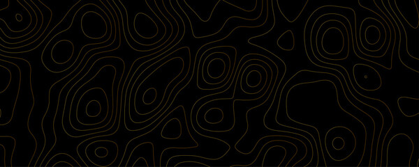 Black background with flowing gold contour lines abstract