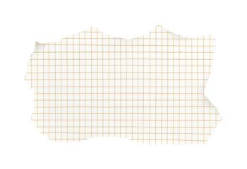 A piece of paper with grid lines, torn edge isolated on a transparent background