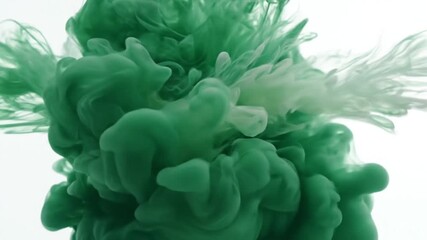 Cinematic macro shot, slow motion video of emerald green dan creamy white ink clouds blooming and swirling elegantly in clear water against a bright, clean white background. - Powered by Adobe