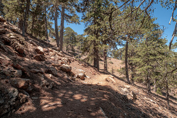 Atalante Trail, a 14 km circular (starts and ends at Troodos Square), almost level, moderately challenging trail around Mount Olympus in the Troodos Mountains, near Pano Platres, Limassol, Cyprus