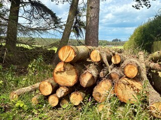 Close up of a stack of timber on the side of a countryside road