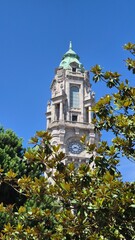 View of Porto City Hall (Câmara Municipal do Porto), located in Avenida dos Aliados, Portugal, under clear summer skies. A landmark of civic pride and neoclassical architecture. Close up