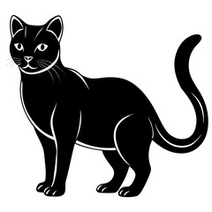 Cat vector silhouette black design white background