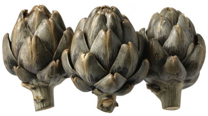 Three dark green and bronze artichokes stand prominently, showcasing their unique textured leaves on a white background.