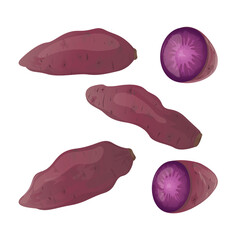 Purple Yam (Ube). For food packaging, recipe books, nutrition blogs, farm market ads, educational materials about tropical vegetables, and Asian cuisine designs