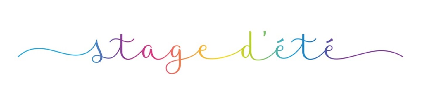 STAGE D'ETE (SUMMER CAMP in French) colorful brush lettering banner with swashes on transparent background