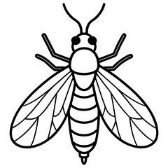 Firefly line art vector