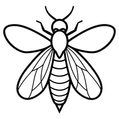 Firefly line art vector