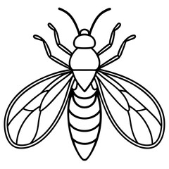 Firefly line art vector