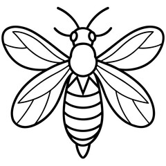Firefly line art vector