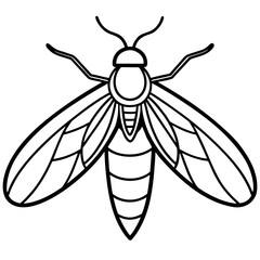 Firefly line art vector