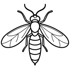Firefly line art vector