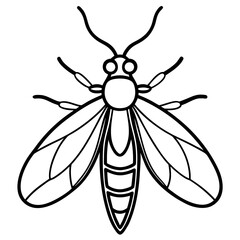 Firefly line art vector