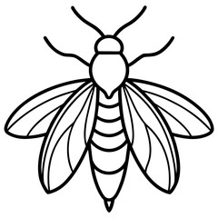 Firefly line art vector