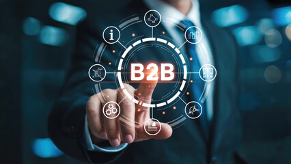 Business professional interacting with digital B2B marketing strategy interface for growth